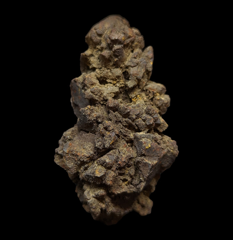Coprolite-Fossils-Madagascar Treasures-PaxtonGate