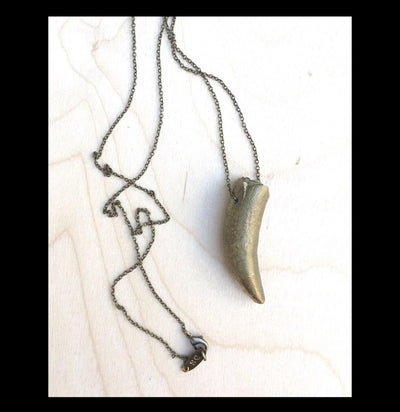 Crocodile Tooth Pendant Necklace - Paxton Gate
