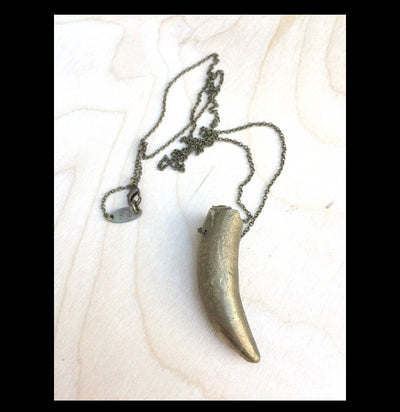 Crocodile Tooth Pendant Necklace - Paxton Gate