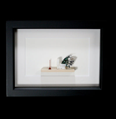 Framed Dung Beetle Diorama-Insects-Bug Under Glass-PaxtonGate