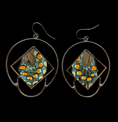 Pipevine Butterfly Cardinal Lunar Earrings-Earrings-Hart Variations-PaxtonGate