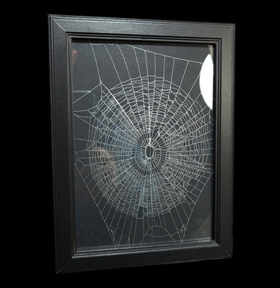 Spider Web Frame-Artwork-Smilodon Resources LLC-PaxtonGate