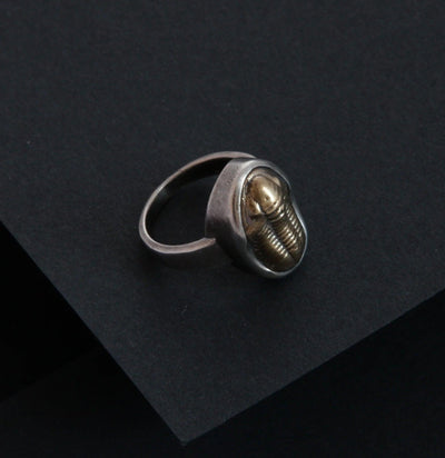 Lapetus Ring-Rings-Powers Jewelry-PaxtonGate