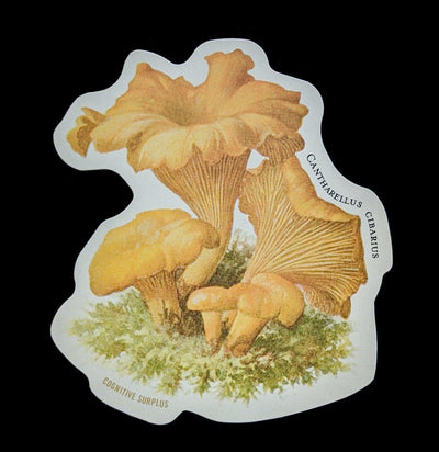 Chanterelle Mushroom Sticker-Stickers-Cognitive Surplus-PaxtonGate