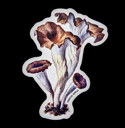 Craterellus Cornucopioides Mushrooms Sticker-Stickers-Cognitive Surplus-PaxtonGate