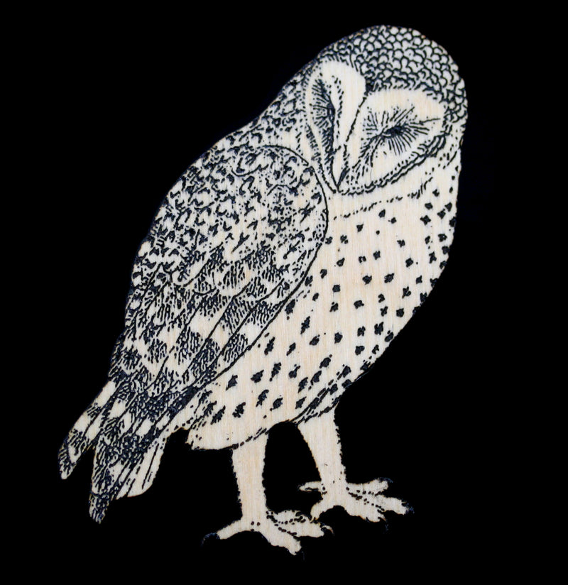 Birch Wood Owl Magnet - Paxton Gate