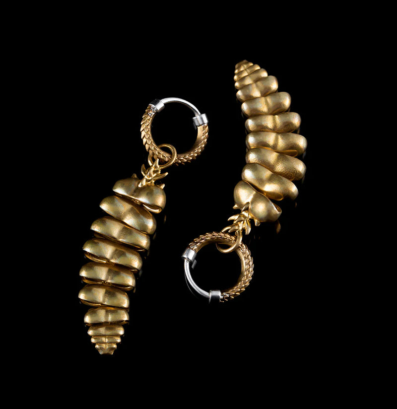 Brass Rattlesnake Tail Earrings - Paxton Gate