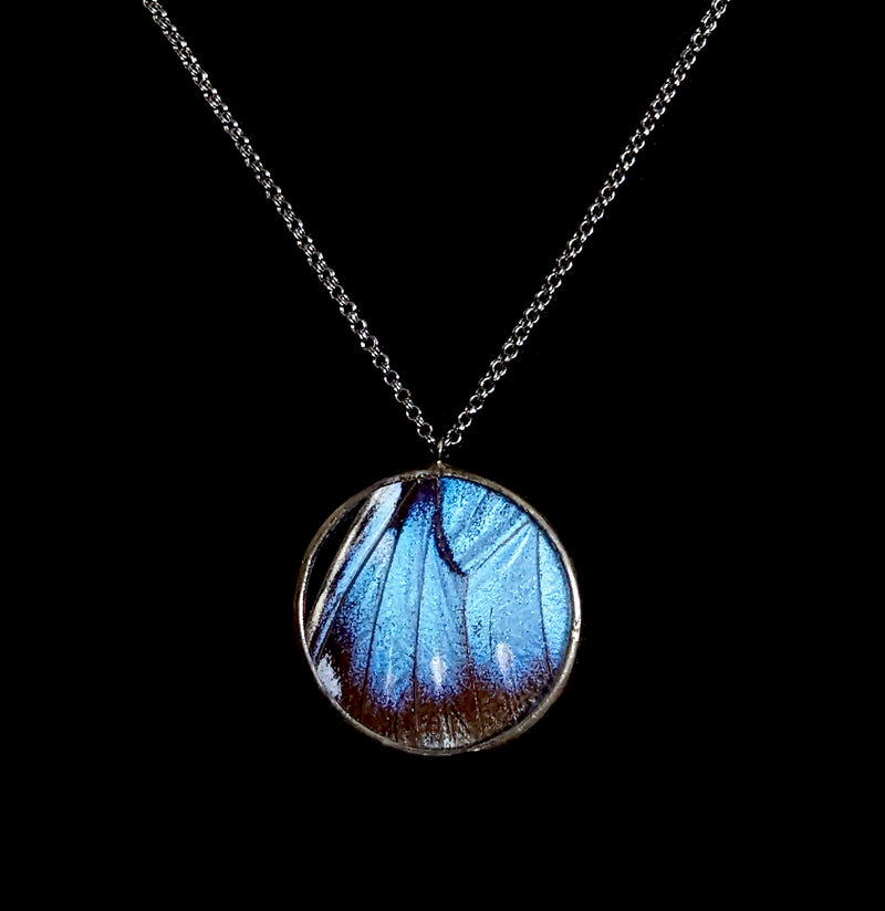 Blue Morpho Rondure Necklace-Necklaces-Hart Variations-PaxtonGate
