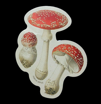 Fly Agaric Poisonous Mushrooms Sticker-Stickers-Cognitive Surplus-PaxtonGate