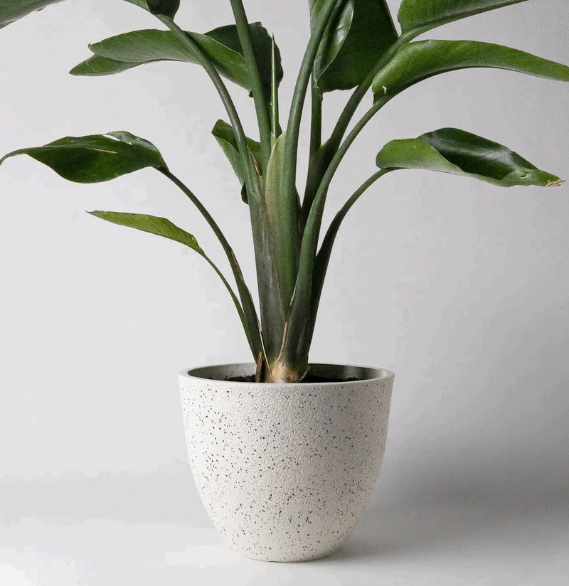 Textured Planter Pot-Pots&Mntg-Kanso Designs-PaxtonGate