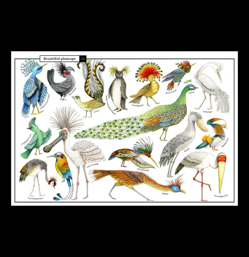 Wonders of Nature: Explorations in the World of Birds, Insects, and Fish-Books-Penguin Random House-PaxtonGate