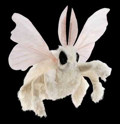 Curiosities For Kids