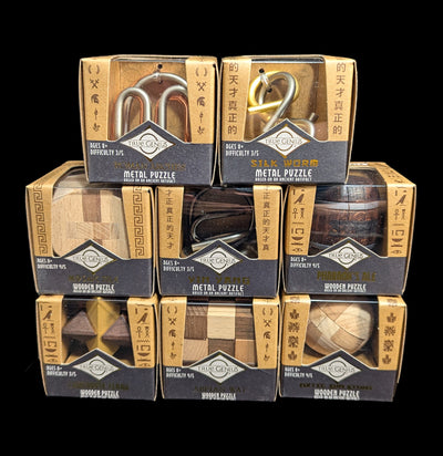 Brainteaser 3D Puzzle-Kids-Project Genius-PaxtonGate