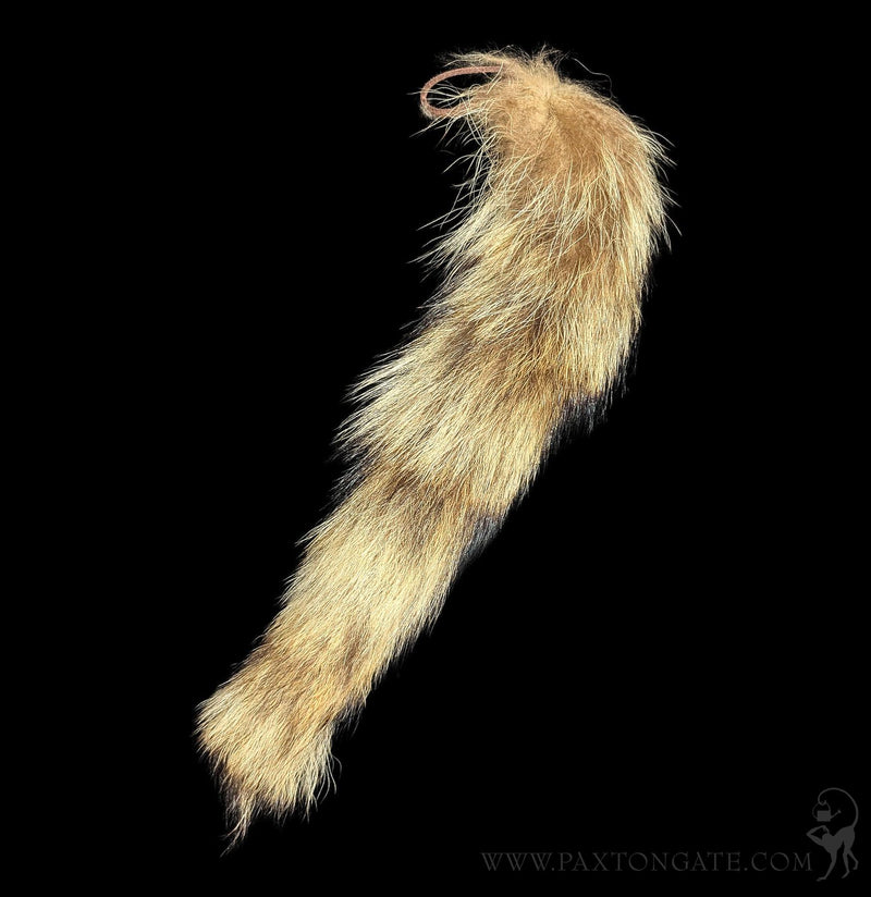 Raccoon Tail With Leather Loop-Keychains-Pawnee Bill&