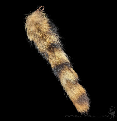 Raccoon Tail With Leather Loop-Keychains-Pawnee Bill's-PaxtonGate