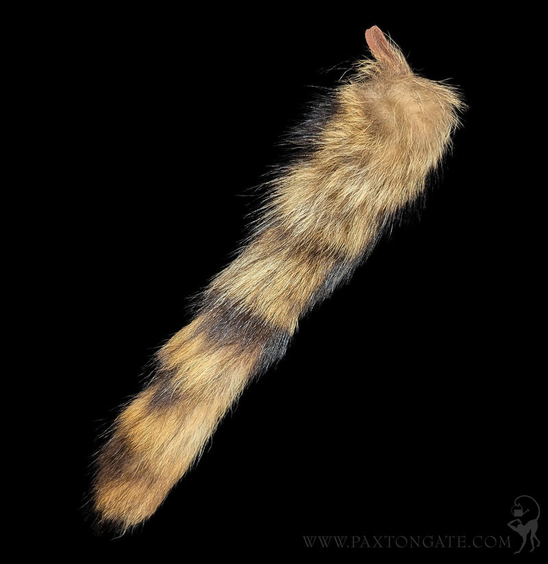 Raccoon Tail With Leather Loop-Keychains-Pawnee Bill&