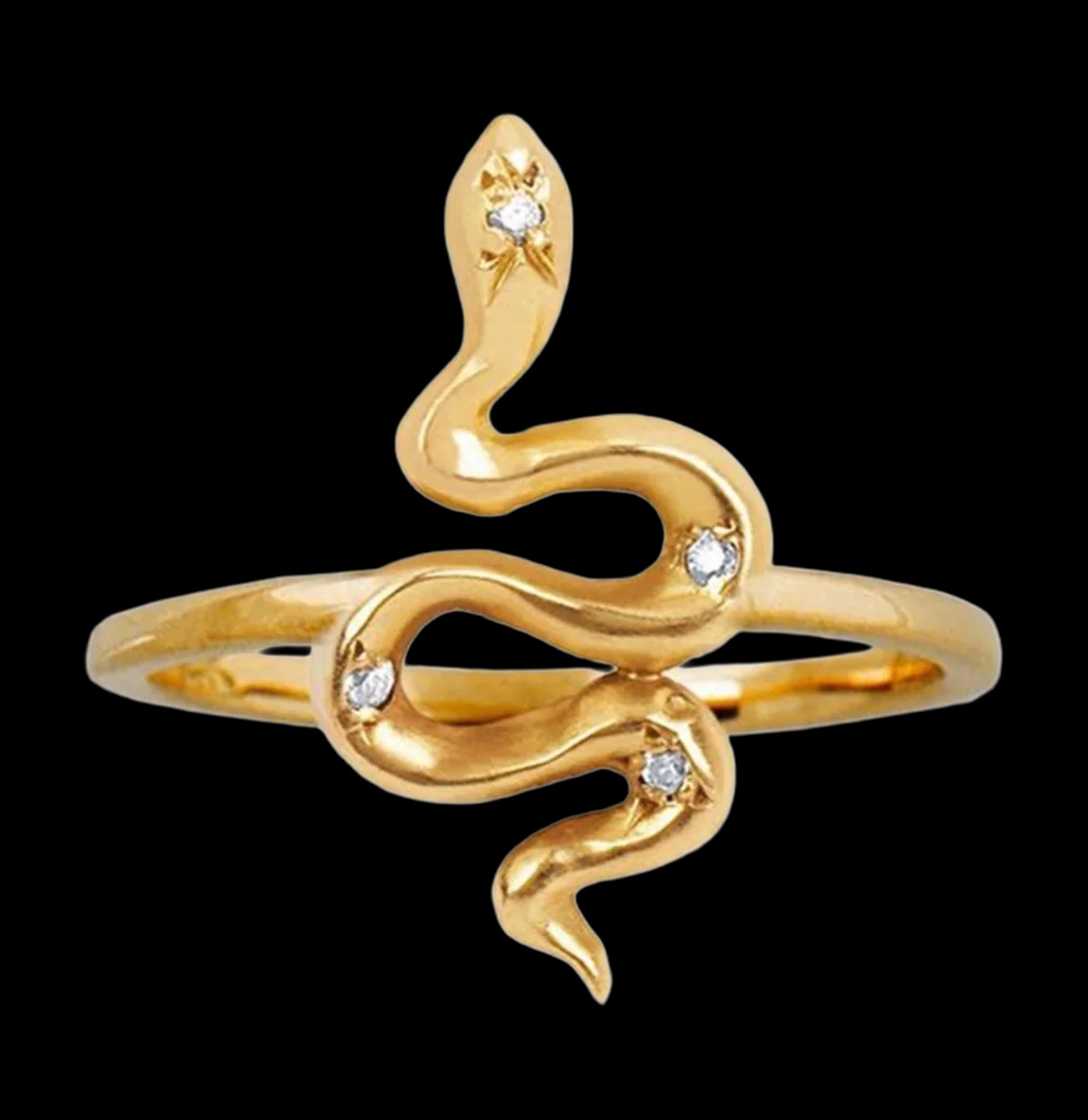 Transformation Snake Ring – Paxton Gate
