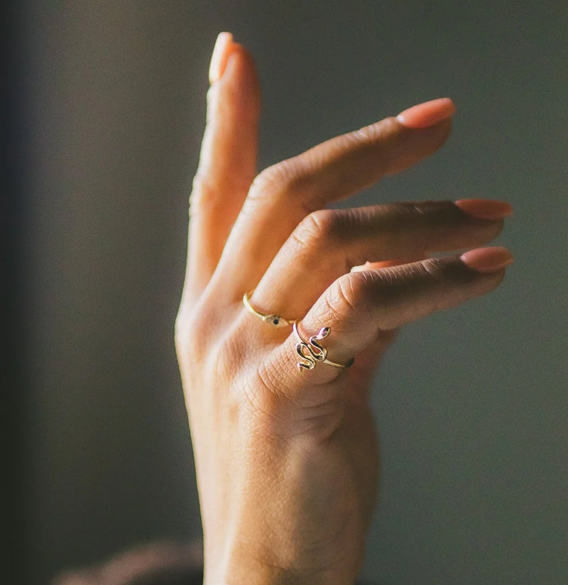 Transformation Snake Ring – Paxton Gate