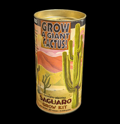 Saguaro Cactus Seed Grow Kit-Seeds-Jonsteen Co-PaxtonGate