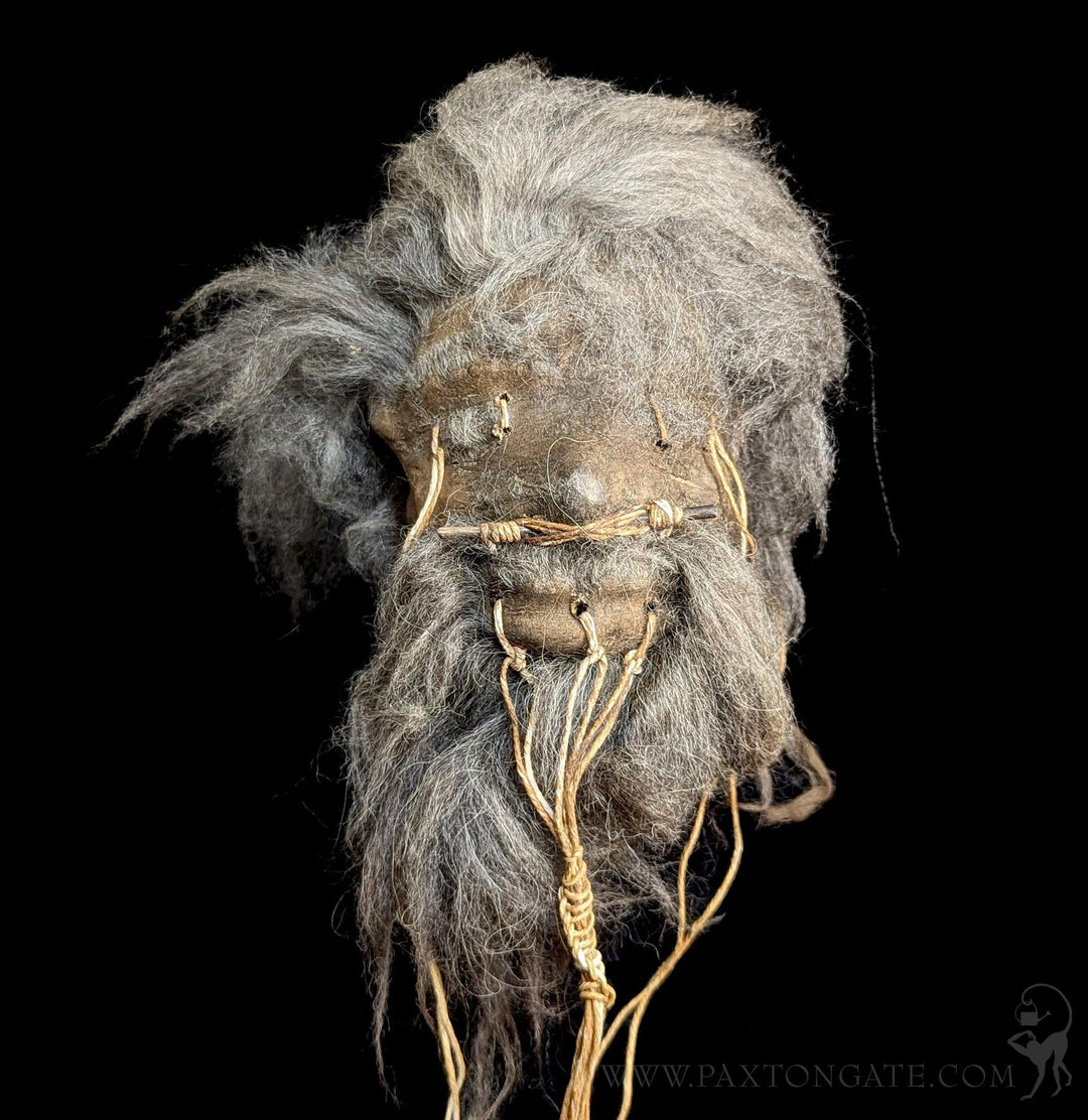 Alpaca Hide Replica Shrunken Head For Sale | Paxton Gate