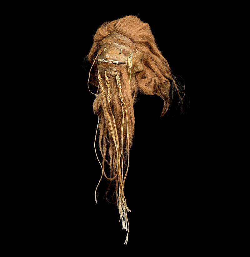 Alpaca Hide Replica Shrunken Head-Decor-Insects in Resin-PaxtonGate