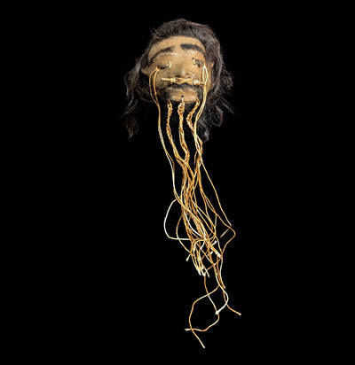Alpaca Hide Replica Shrunken Head-Decor-Insects in Resin-PaxtonGate