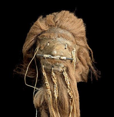 Alpaca Hide Replica Shrunken Head-Decor-Insects in Resin-PaxtonGate
