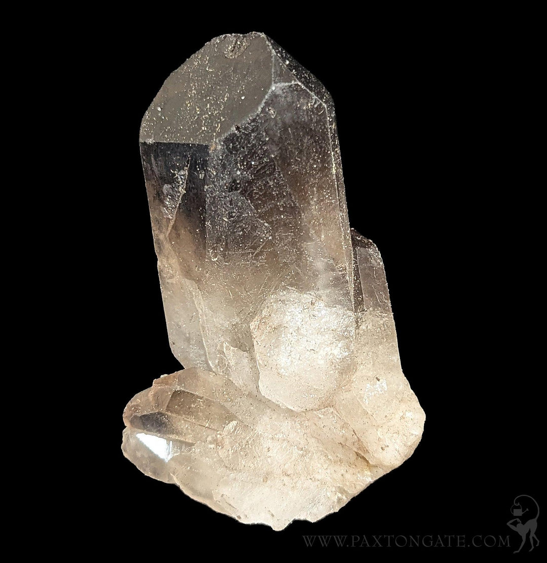 Paxton_Gate_Smoky_quartz_Clust  display picture 3