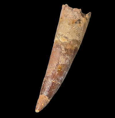 From The Natural World