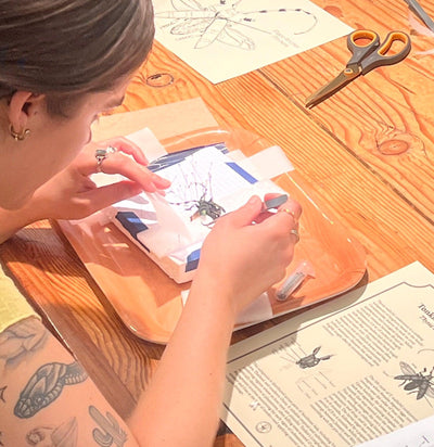 Insect Spreading Class: Tonkin's Long-Horn Beetle-Workshop-Paxton Gate-PaxtonGate