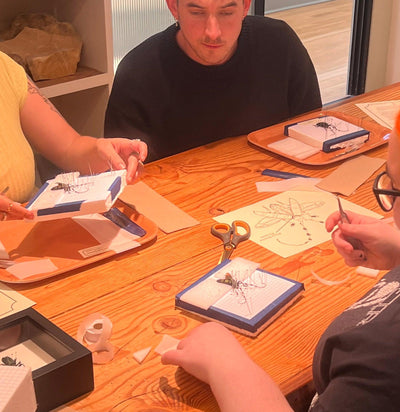 Insect Spreading Class: Tonkin's Long-Horn Beetle-Workshop-Paxton Gate-PaxtonGate