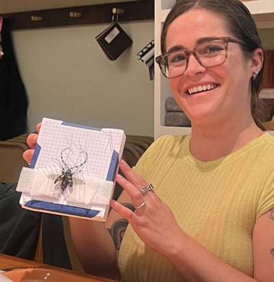 Insect Spreading Class: Tonkin's Long-Horn Beetle-Workshop-Paxton Gate-PaxtonGate