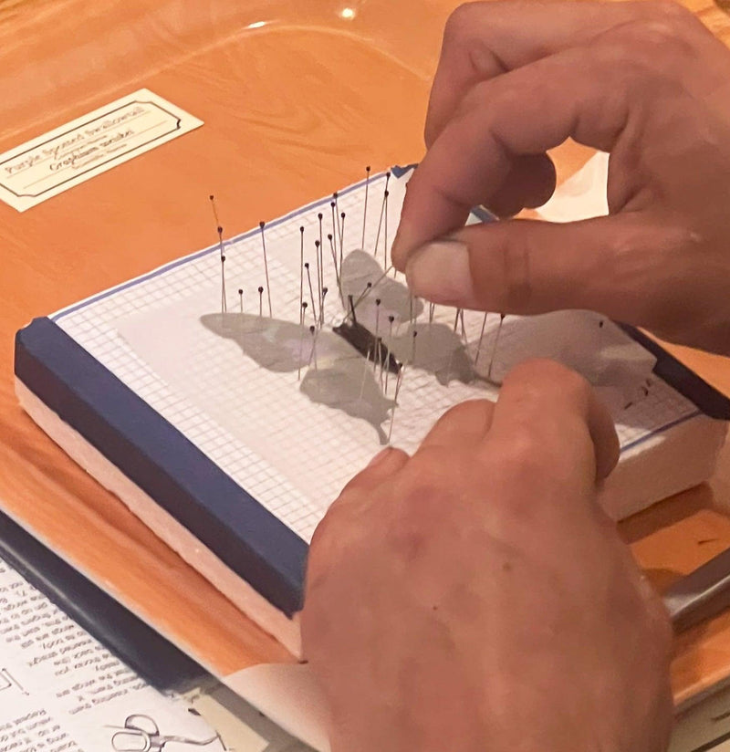 Insect Spreading Class: Purple Spotted Butterfly-Workshop-Paxton Gate-PaxtonGate