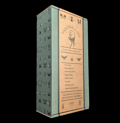Paxton Gate Insect Spreading Kit-Insects-Paxton Gate-PaxtonGate