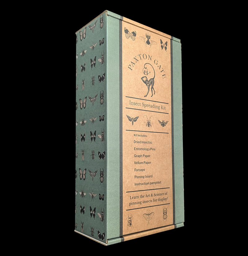 Paxton Gate Insect Spreading Kit-Insects-Paxton Gate-PaxtonGate