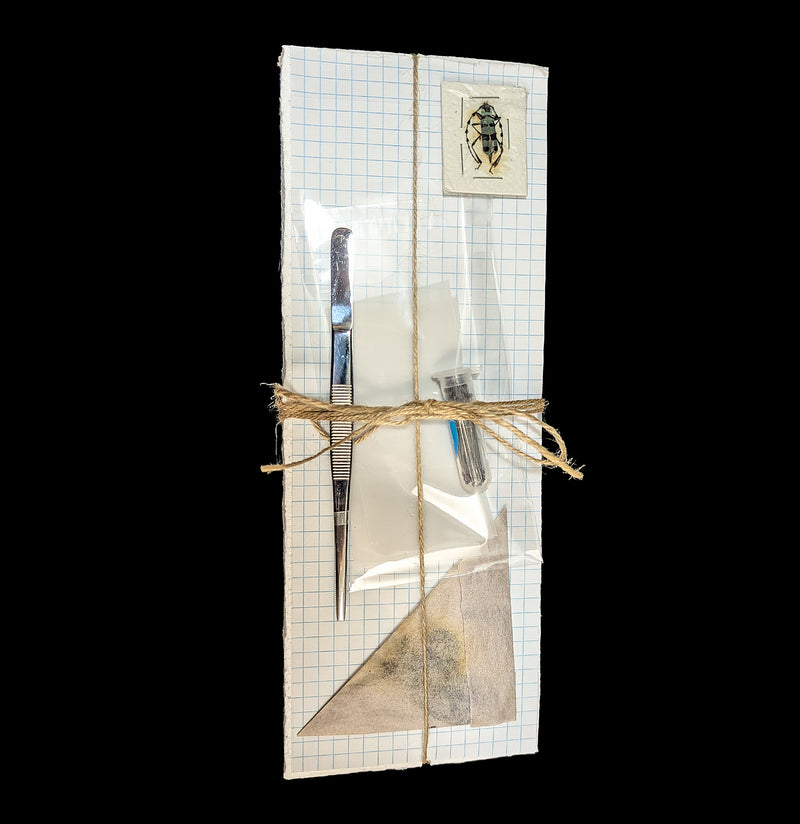 Paxton Gate Insect Spreading Kit-Insects-Paxton Gate-PaxtonGate