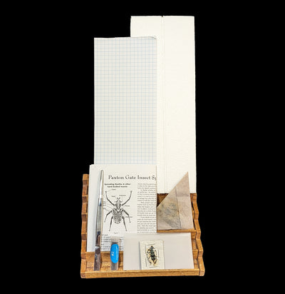 Paxton Gate Insect Spreading Kit-Insects-Paxton Gate-PaxtonGate