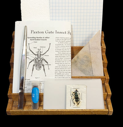 Paxton Gate Insect Spreading Kit-Insects-Paxton Gate-PaxtonGate