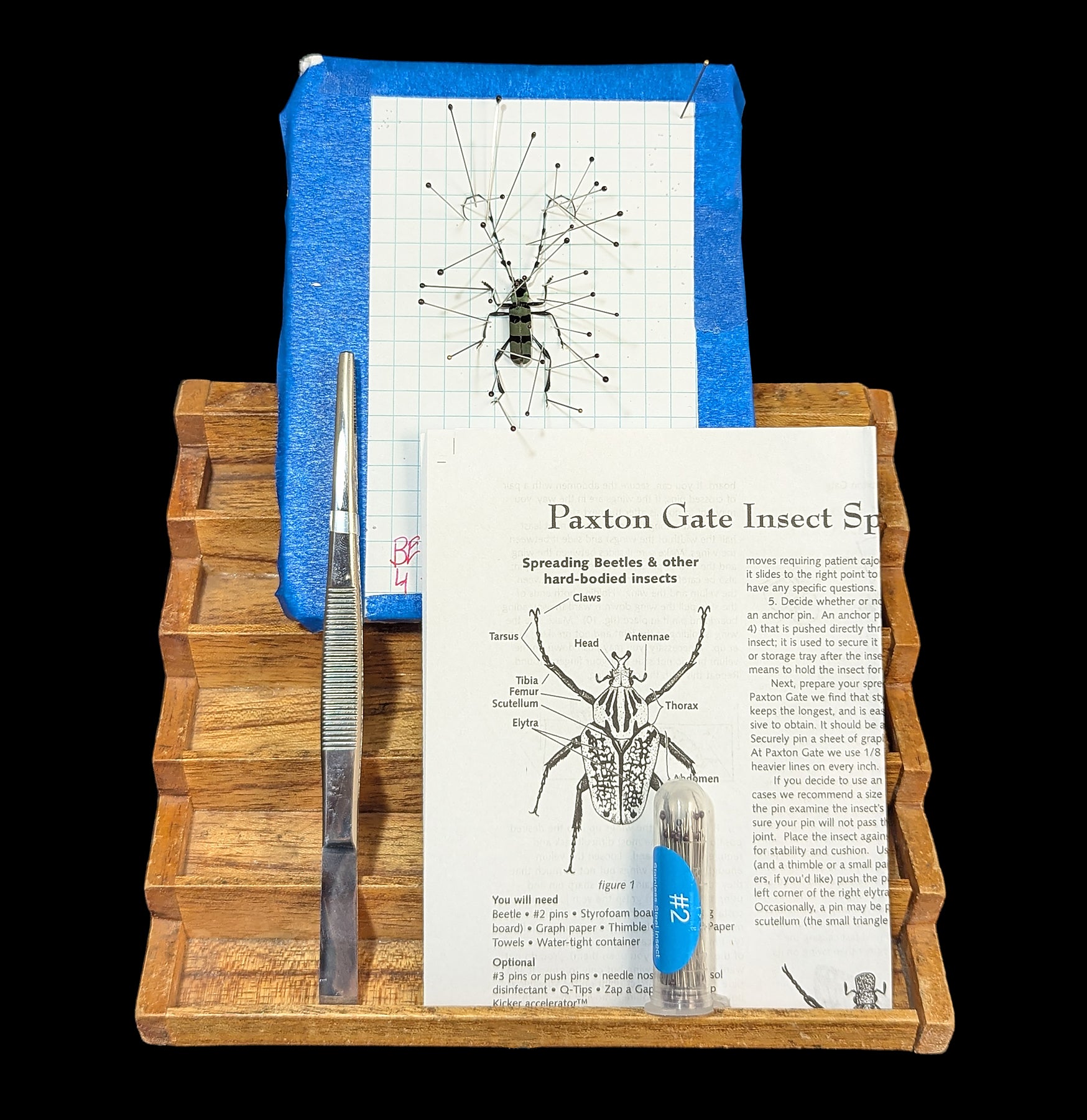 Paxton Gate Insect Spreading Kit
