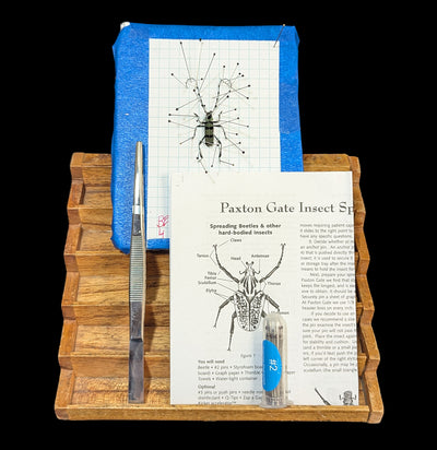 Paxton Gate Insect Spreading Kit-Insects-Paxton Gate-PaxtonGate