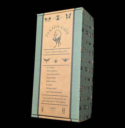 Paxton Gate Insect Spreading Kit-Insects-Paxton Gate-PaxtonGate