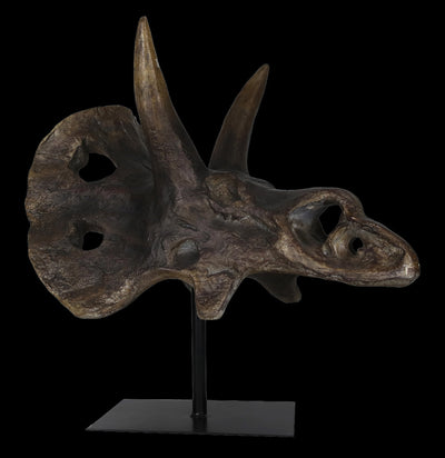 Triceratops Skull Replica-Skulls & Bones-Modern World-PaxtonGate