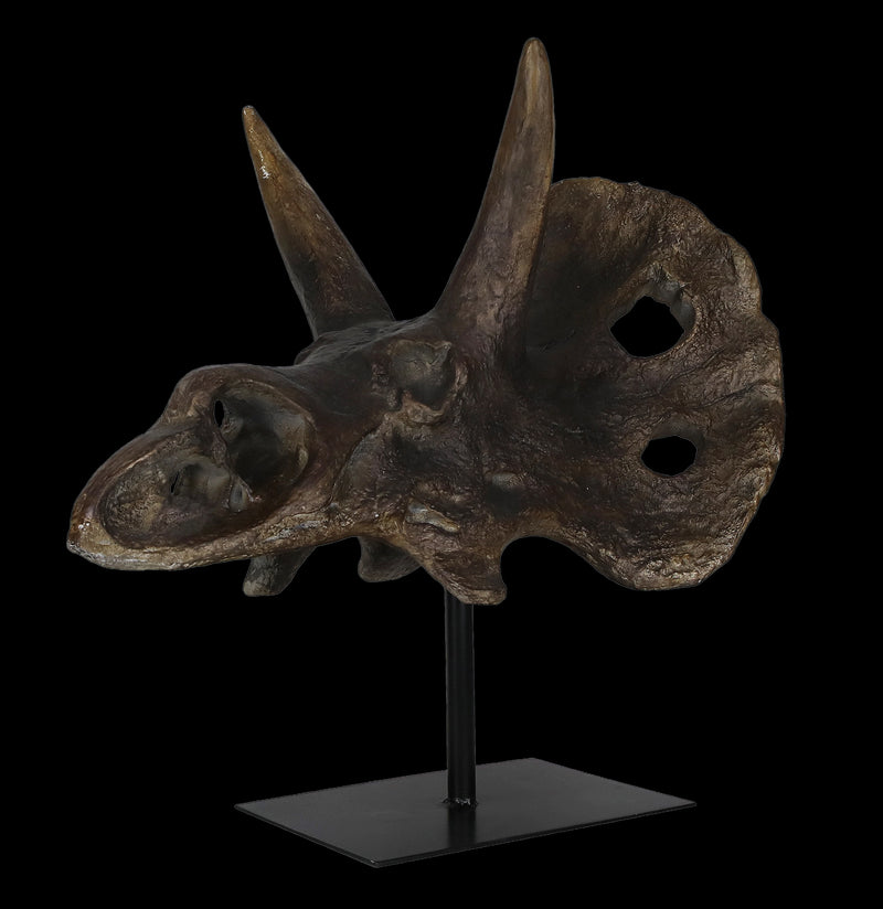 Triceratops Skull Replica-Skulls & Bones-Modern World-PaxtonGate