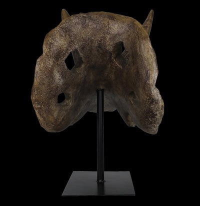 Triceratops Skull Replica-Skulls & Bones-Modern World-PaxtonGate
