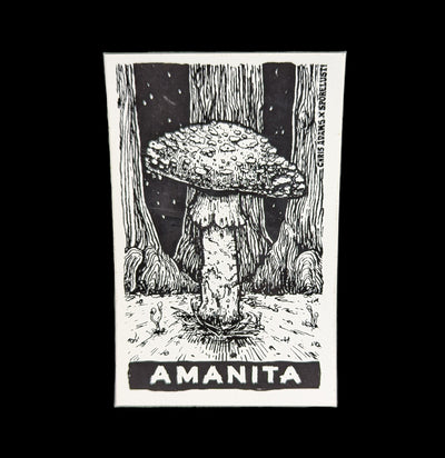 Sporelust Amanita Mushroom Sticker-Stickers-Corvidopolis-PaxtonGate