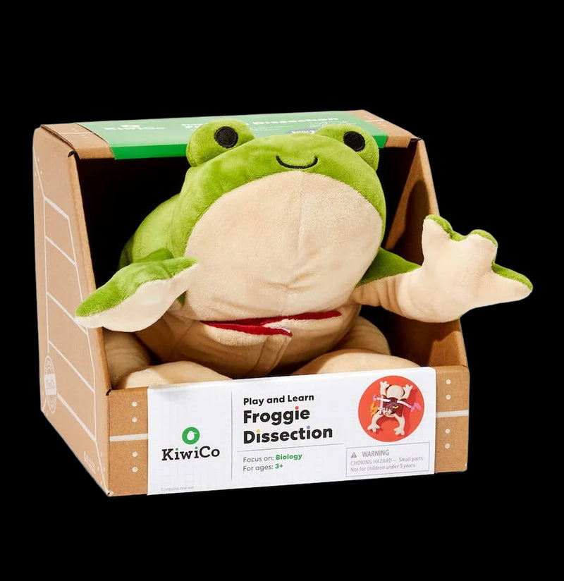 Froggie Dissection Lab For Sale | Paxton Gate