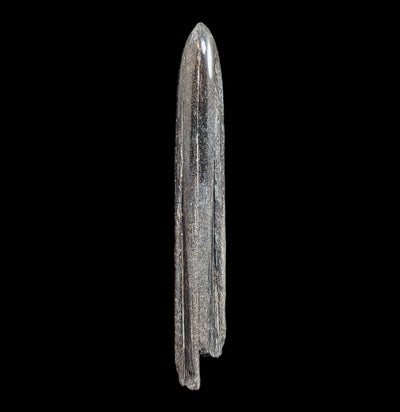 Swordfish Bill Fossil Specimen #1-Fossils-JT Shark Teeth Co-PaxtonGate
