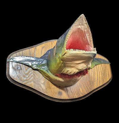 Mackerel Taxidermy Head Mount-Taxidermy-The Taxidermy Store-PaxtonGate
