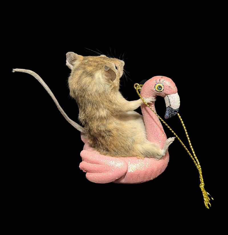 Taxidermy Mouse on Flamingo Ornament-Taxidermy-Classic mouse parade-PaxtonGate