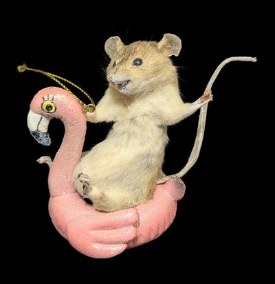 Taxidermy Mouse on Flamingo Ornament-Taxidermy-Classic mouse parade-PaxtonGate